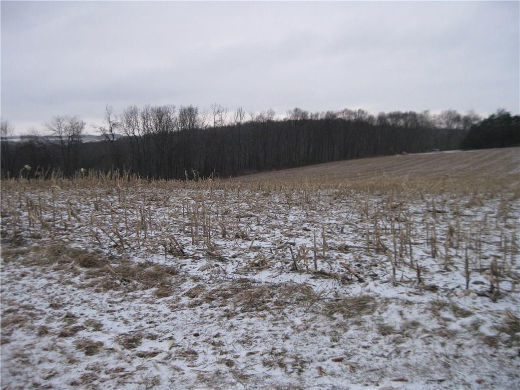 471 Summit Ridge Road New Bethlehem, PA 16242 - Photo 4 of 19 56.9 acres approx. 40 tillable and 17 wooded