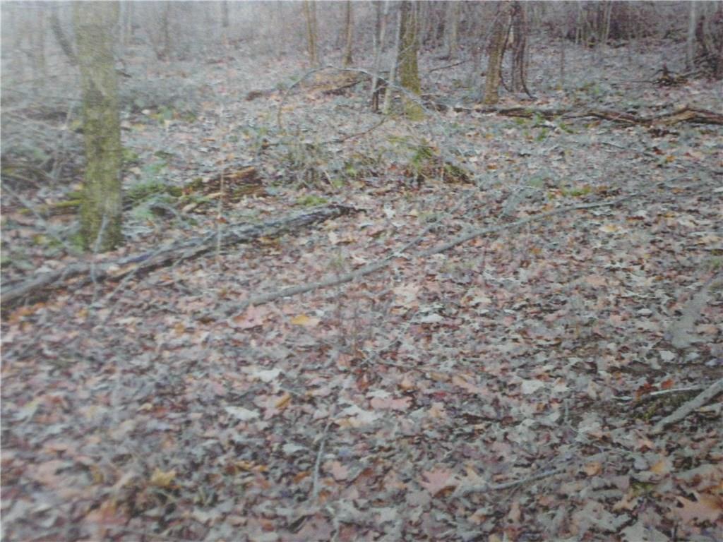 471 Summit Ridge Road New Bethlehem, PA 16242 - Photo 8 of 19 You have the potential to have your home site in a wooded or cleared area of the property.