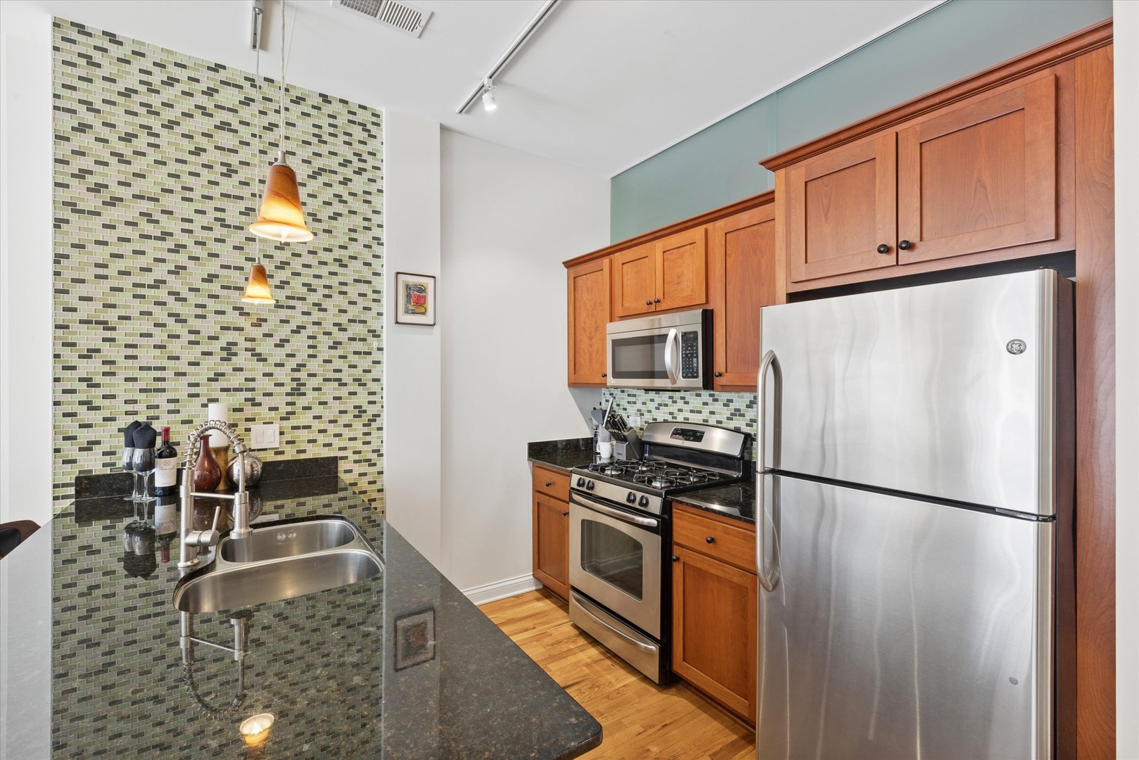 2025 South Indiana Avenue, Unit 209 Chicago, IL 60616 - Photo 4 of 17 a kitchen with stainless steel appliances granite countertop a refrigerator a stove a sink and a microwave