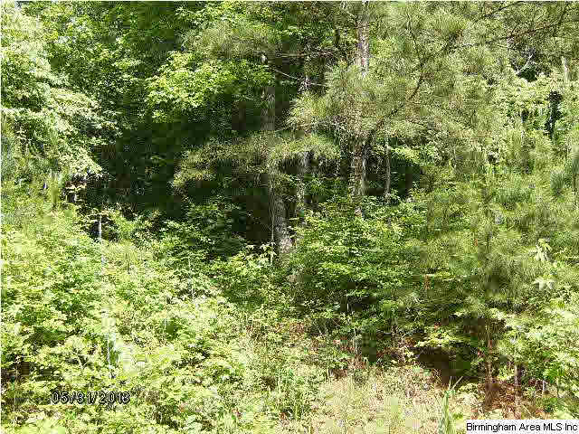 4565 Shadow Ridge Parkway, Unit 29 Pinson, AL 35126 - Photo 4 of 12