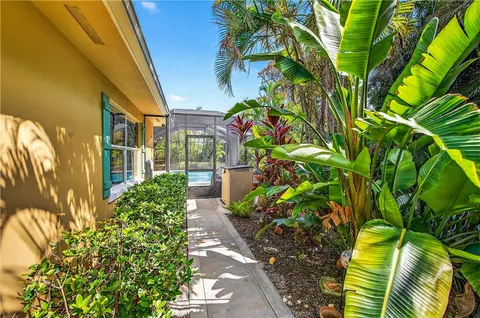 a view of a potted plants with sky view