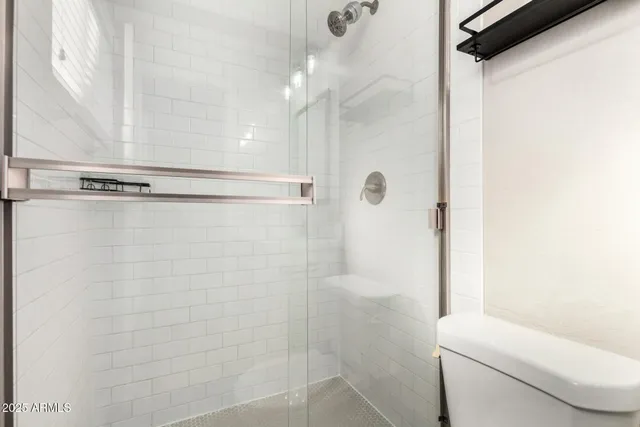 a bathroom with a shower and a toilet