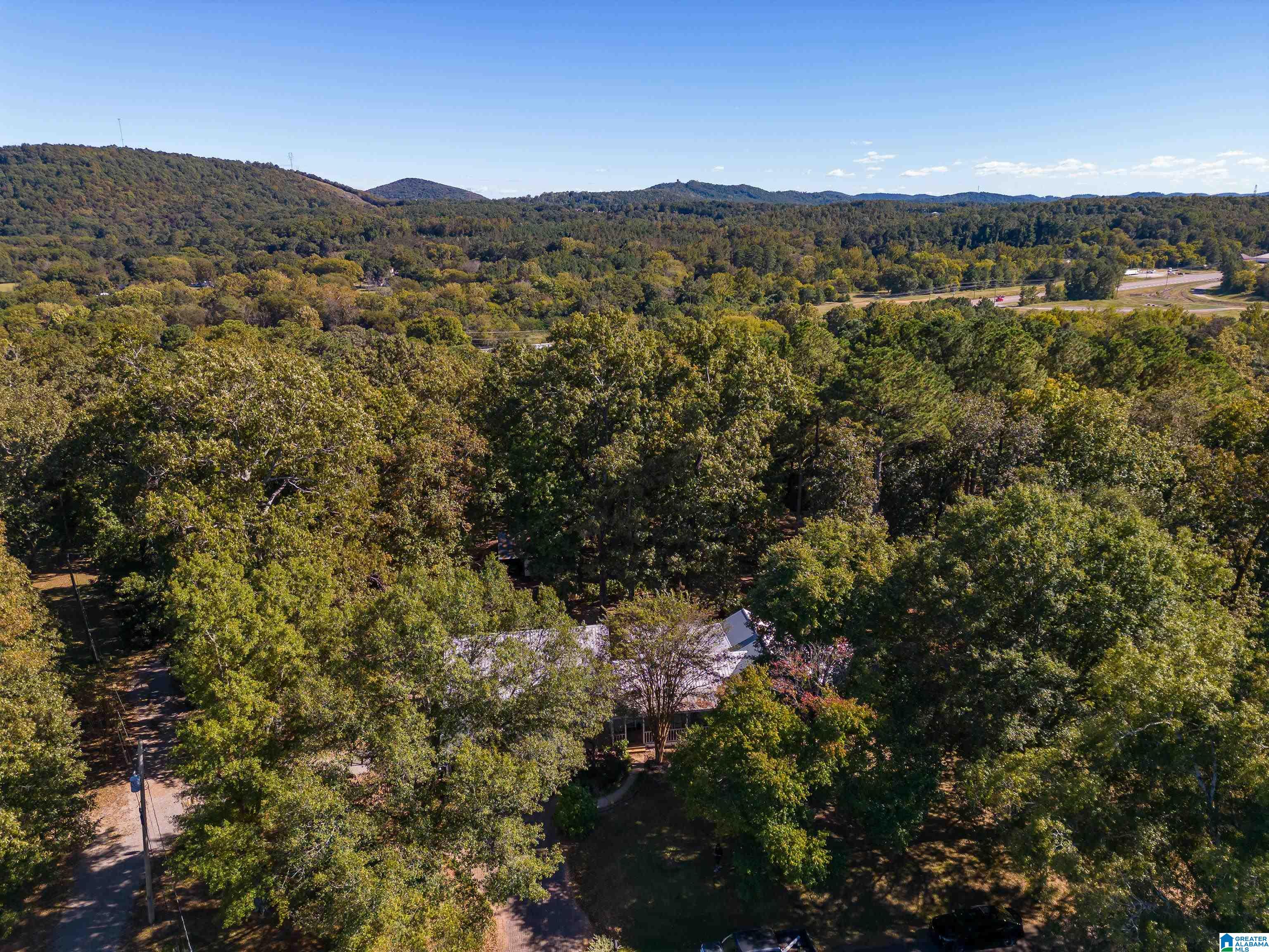8073 West Hill Road Pinson, AL 35126 - Photo 37 of 50