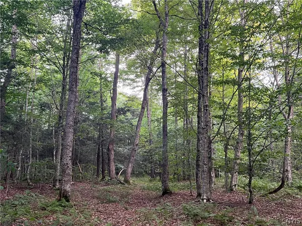 $79,000 | Creek Road, Unit 7, Taberg, NY 13471