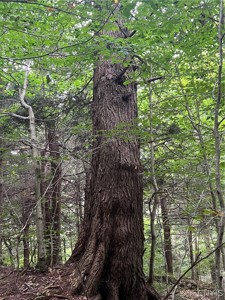 Creek Road, Unit 7 Taberg, NY 13471 - Photo 11 of 34