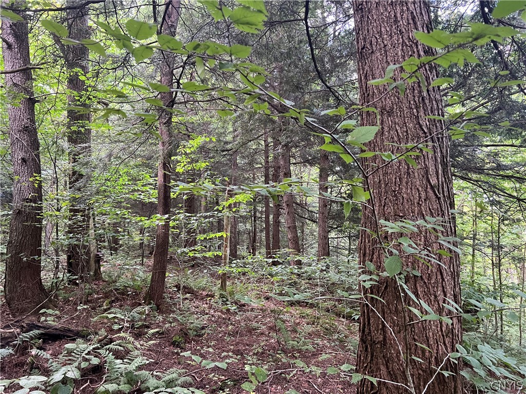 Creek Road, Unit 7 Taberg, NY 13471 - Photo 12 of 34