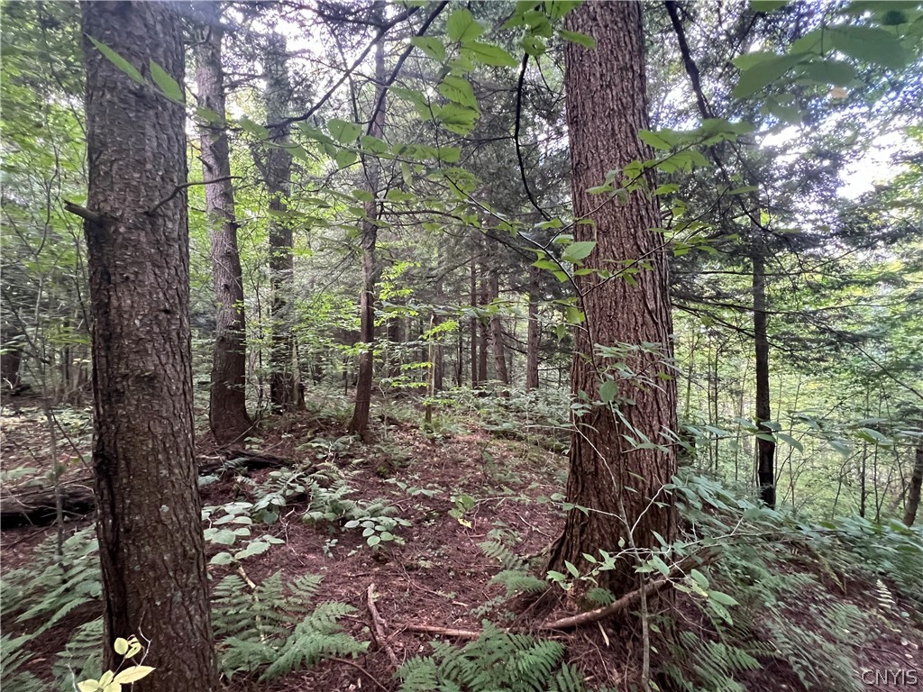 Creek Road, Unit 7 Taberg, NY 13471 - Photo 13 of 34