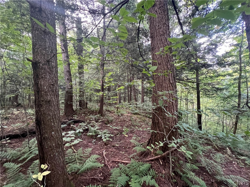 Creek Road, Unit 7 Taberg, NY 13471 - Photo 14 of 34