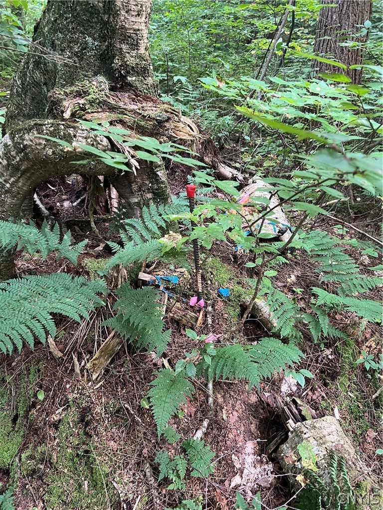 Creek Road, Unit 7 Taberg, NY 13471 - Photo 15 of 34