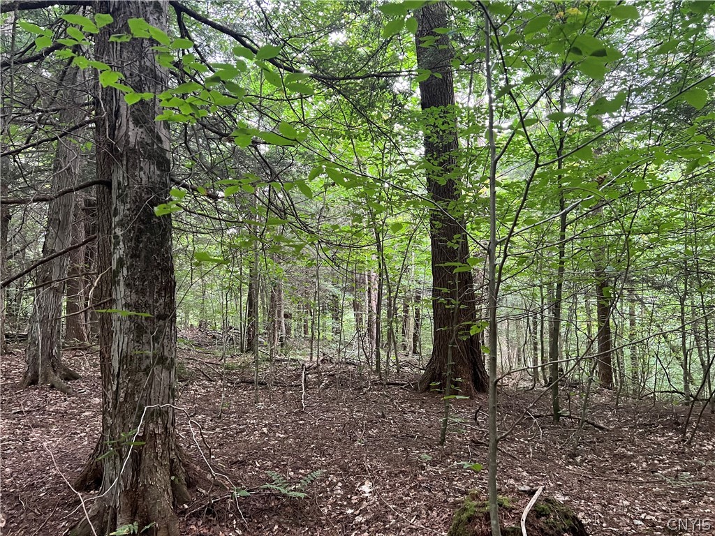 Creek Road, Unit 7 Taberg, NY 13471 - Photo 16 of 34