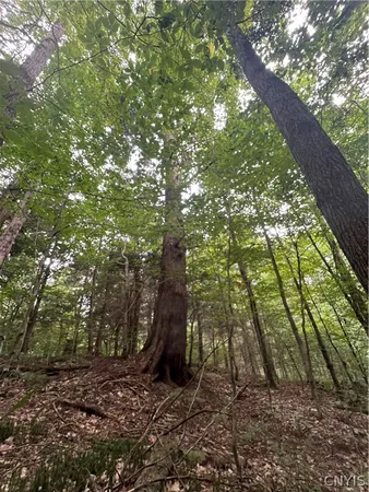 $79,000 | Creek Road, Unit 7, Taberg, NY 13471