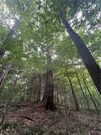 $79,000 | Creek Road, Unit 7, Taberg, NY 13471