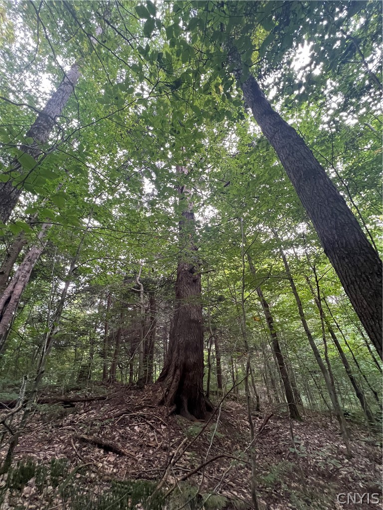 Creek Road, Unit 7 Taberg, NY 13471 - Photo 18 of 34