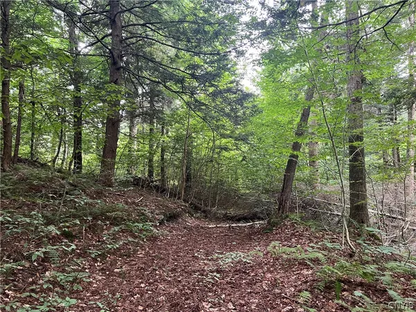 $79,000 | Creek Road, Unit 7, Taberg, NY 13471
