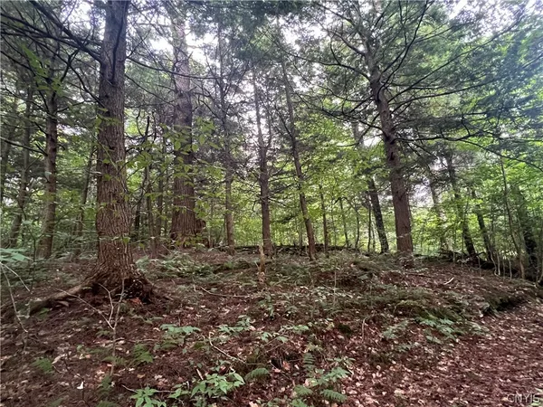 $79,000 | Creek Road, Unit 7, Taberg, NY 13471