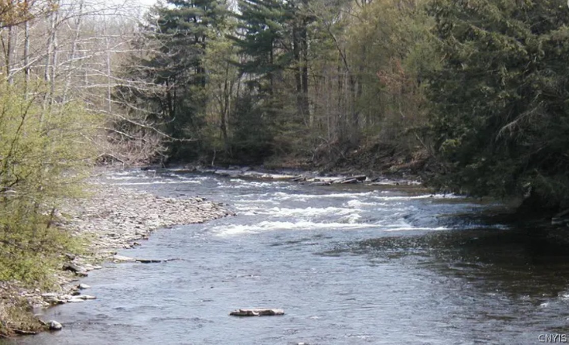 Creek Road, Unit 7 Taberg, NY 13471 - Photo 2 of 34