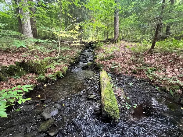 $79,000 | Creek Road, Unit 7, Taberg, NY 13471