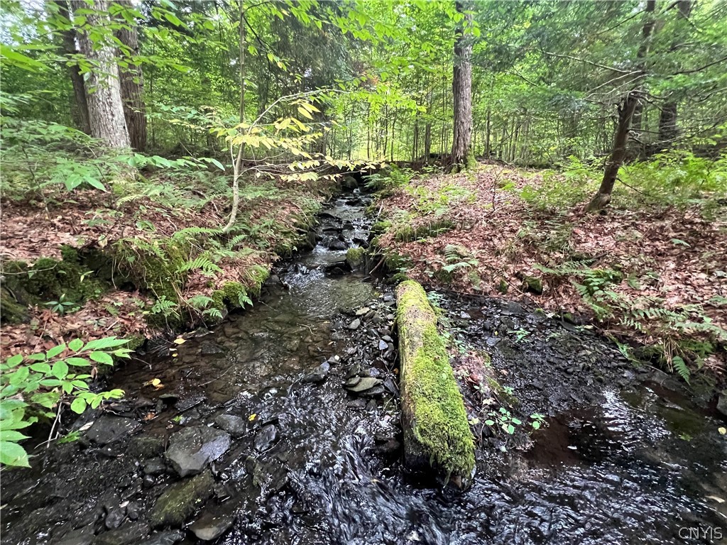 Creek Road, Unit 7 Taberg, NY 13471 - Photo 21 of 34