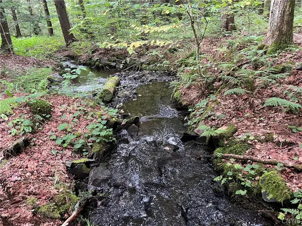 $79,000 | Creek Road, Unit 7, Taberg, NY 13471