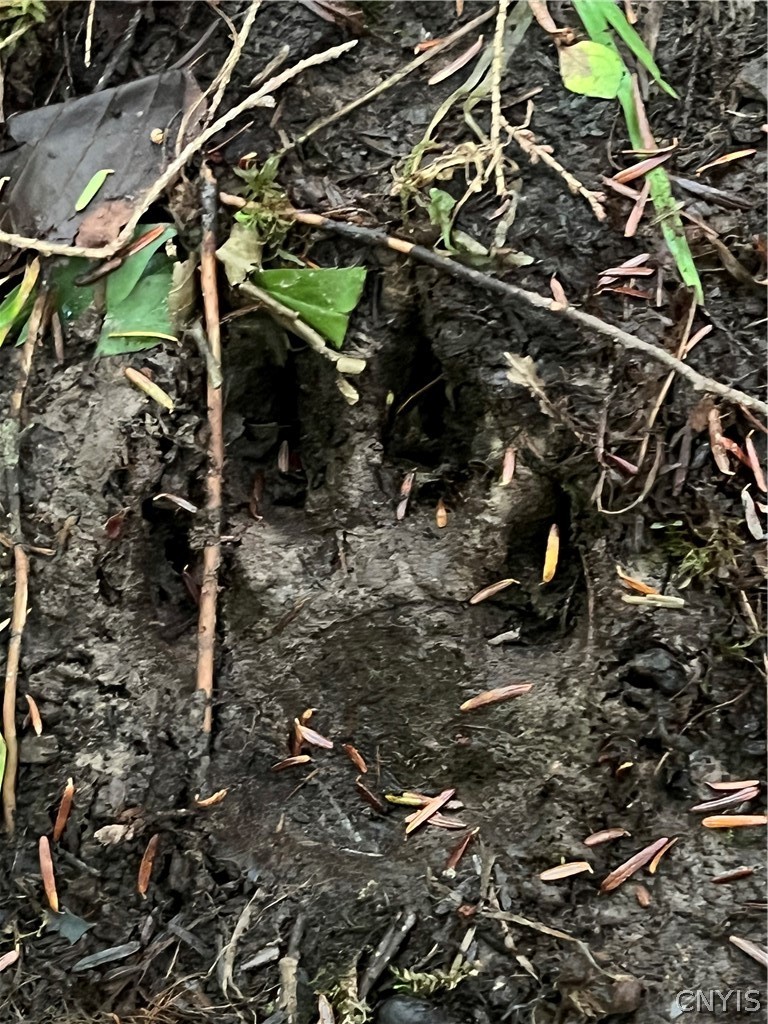 Creek Road, Unit 7 Taberg, NY 13471 - Photo 24 of 34