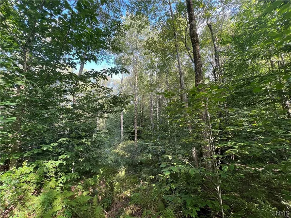 $79,000 | Creek Road, Unit 7, Taberg, NY 13471