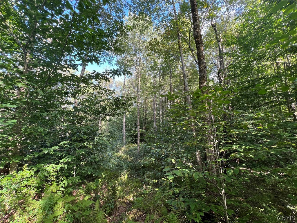 Creek Road, Unit 7 Taberg, NY 13471 - Photo 25 of 34