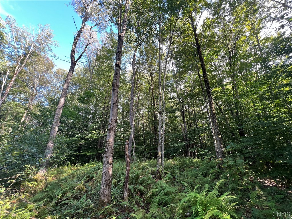 Creek Road, Unit 7 Taberg, NY 13471 - Photo 26 of 34