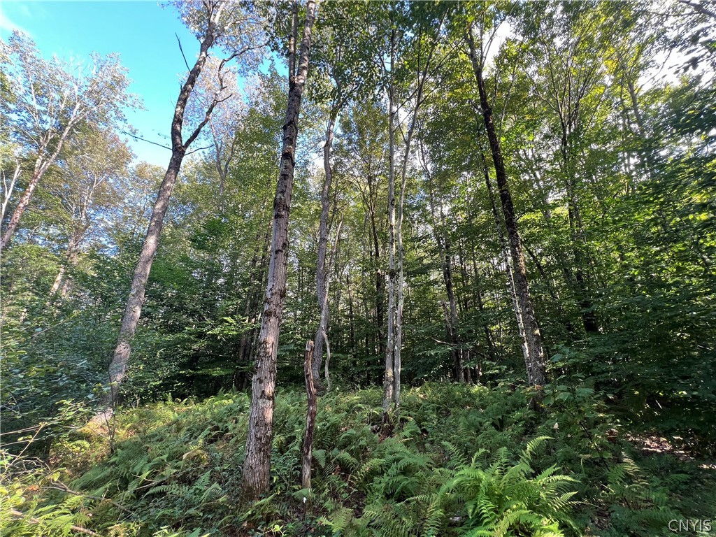 Creek Road, Unit 7 Taberg, NY 13471 - Photo 27 of 34