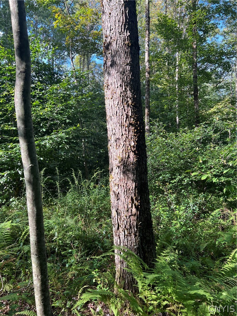 Creek Road, Unit 7 Taberg, NY 13471 - Photo 28 of 34