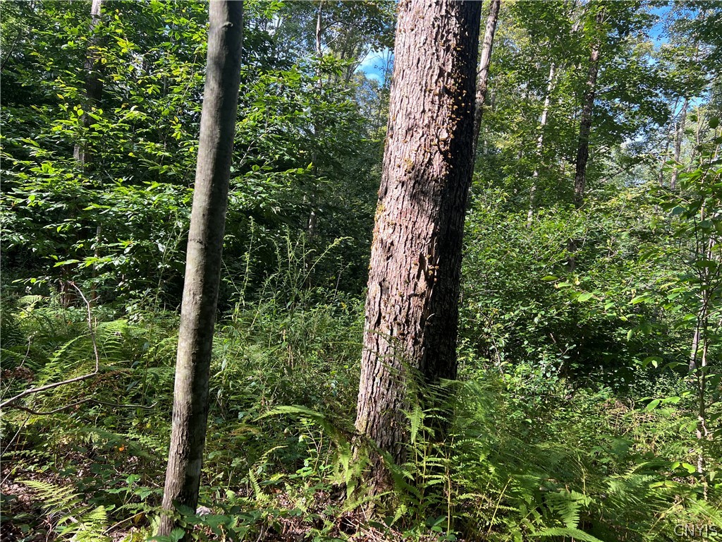 Creek Road, Unit 7 Taberg, NY 13471 - Photo 29 of 34