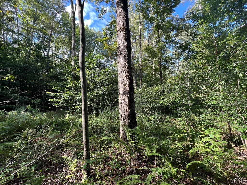 Creek Road, Unit 7 Taberg, NY 13471 - Photo 30 of 34