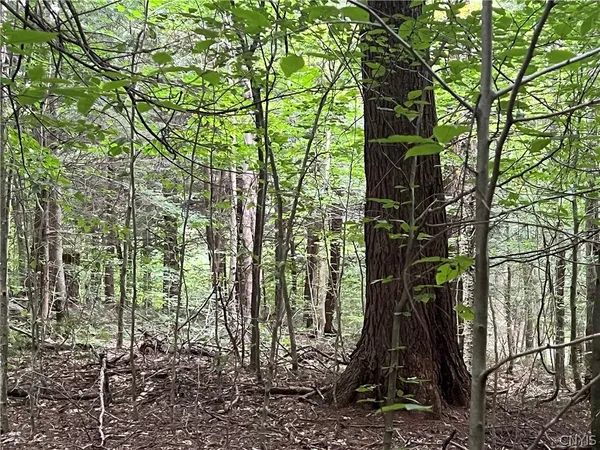 $79,000 | Creek Road, Unit 7, Taberg, NY 13471