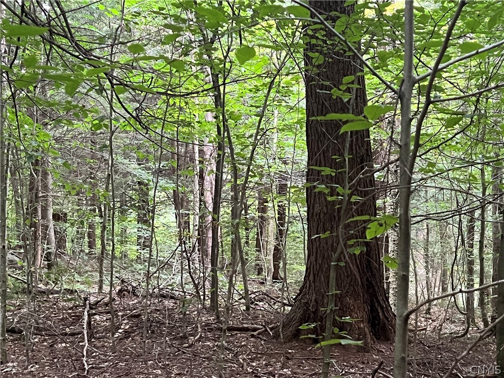 Creek Road, Unit 7 Taberg, NY 13471 - Photo 3 of 34