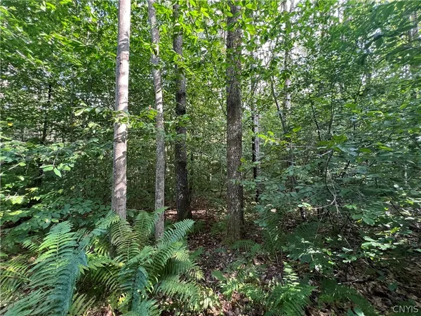 $79,000 | Creek Road, Unit 7, Taberg, NY 13471