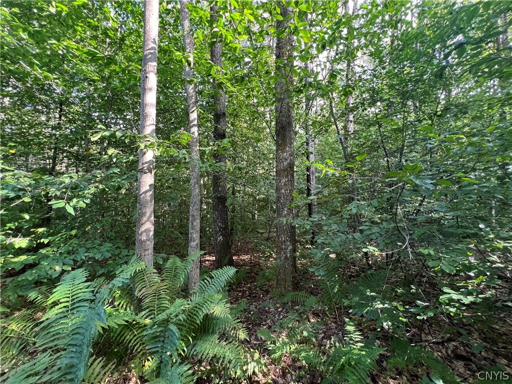 Creek Road, Unit 7 Taberg, NY 13471 - Photo 31 of 34