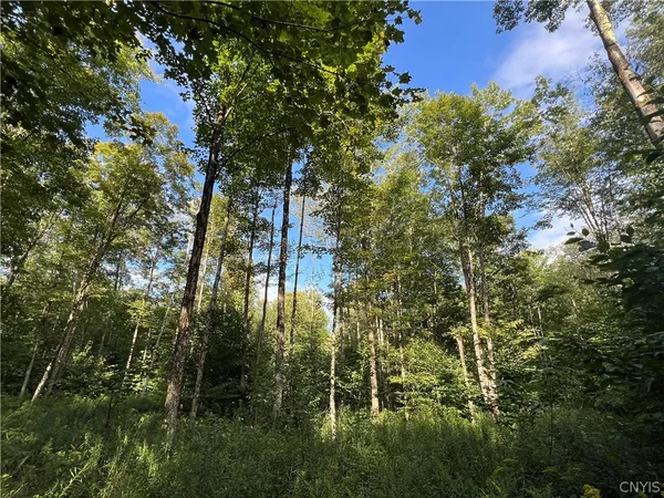 $79,000 | Creek Road, Unit 7, Taberg, NY 13471