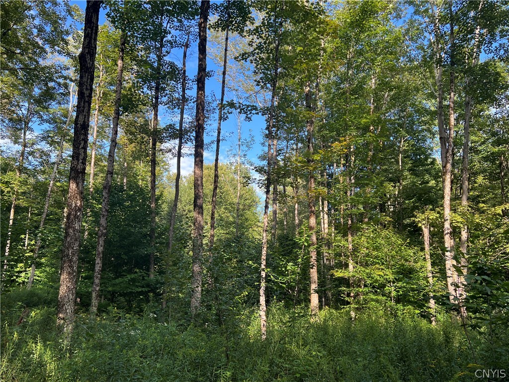 Creek Road, Unit 7 Taberg, NY 13471 - Photo 33 of 34