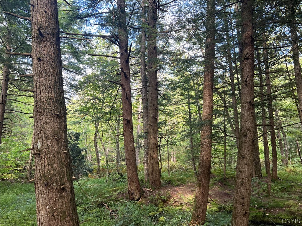 Creek Road, Unit 7 Taberg, NY 13471 - Photo 5 of 34