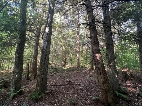 $79,000 | Creek Road, Unit 7, Taberg, NY 13471
