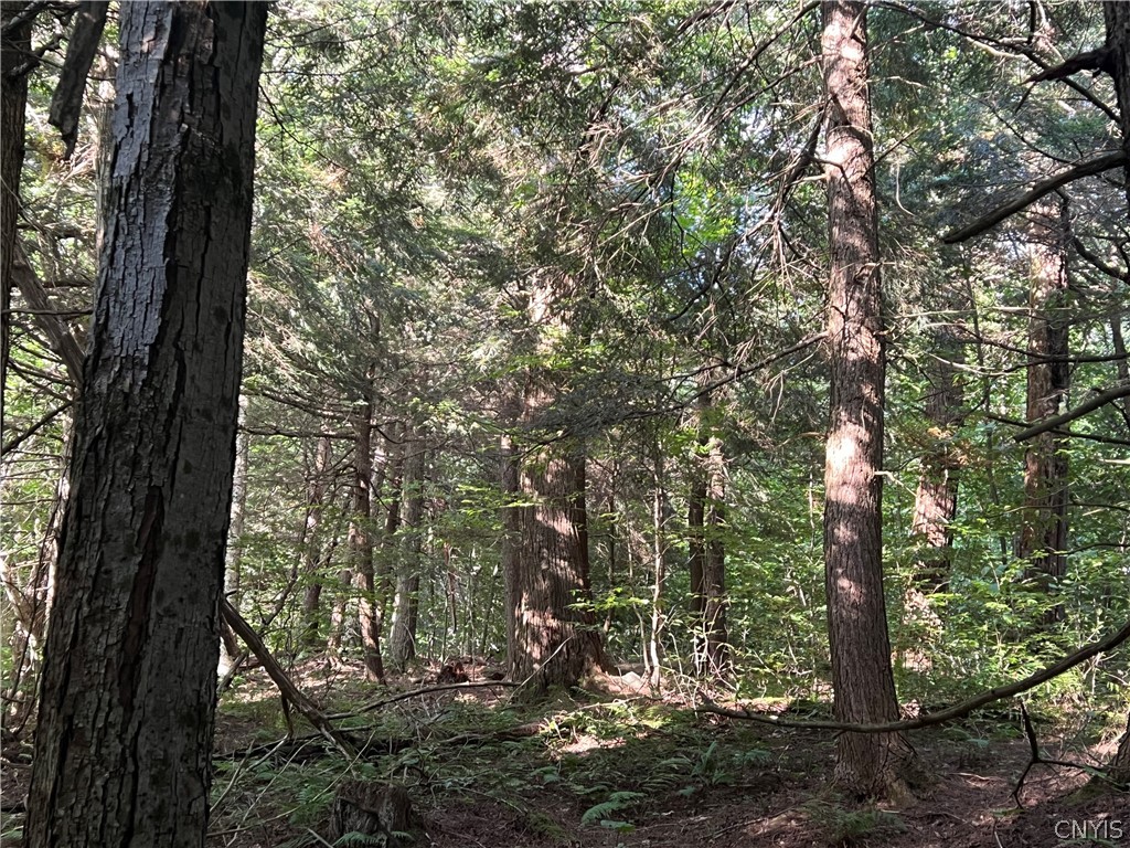 Creek Road, Unit 7 Taberg, NY 13471 - Photo 7 of 34