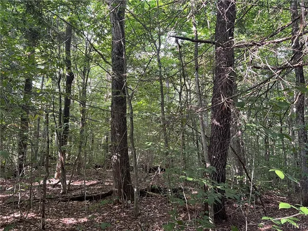 $79,000 | Creek Road, Unit 7, Taberg, NY 13471