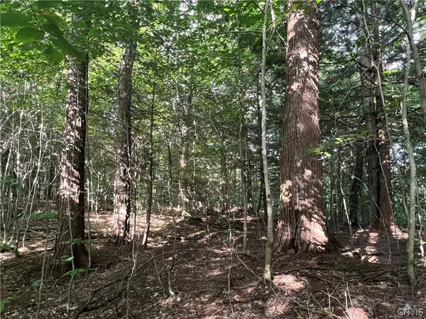 $79,000 | Creek Road, Unit 7, Taberg, NY 13471