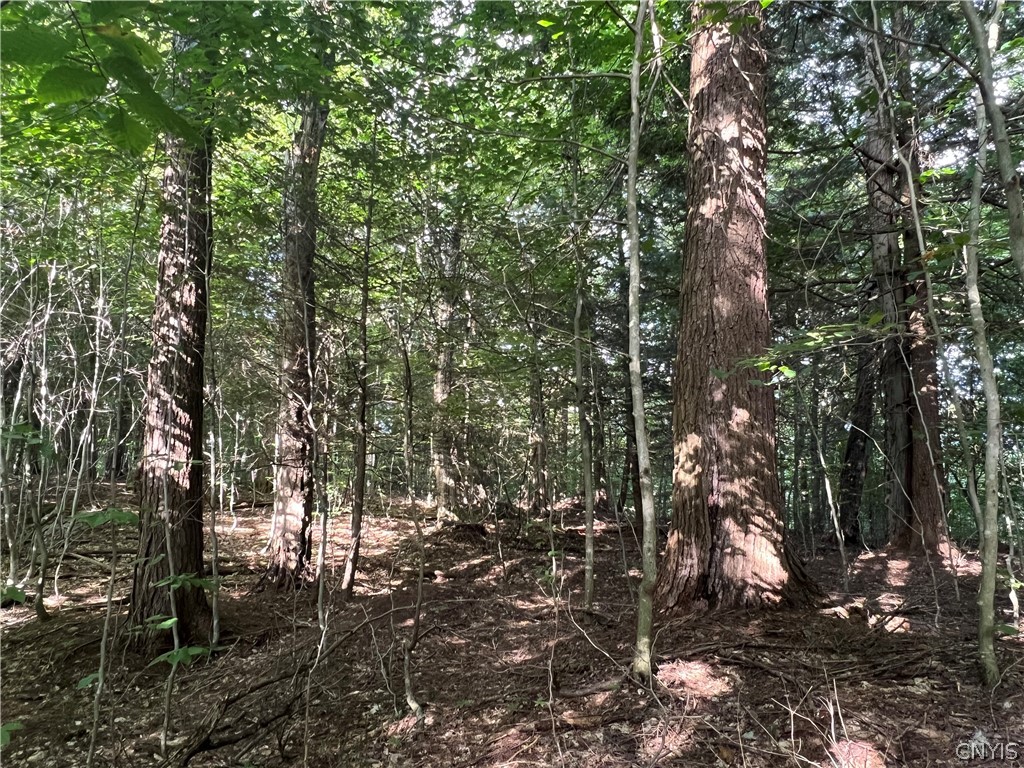 Creek Road, Unit 7 Taberg, NY 13471 - Photo 9 of 34