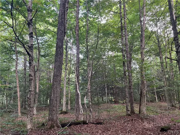 $79,000 | Creek Road, Unit 7, Taberg, NY 13471
