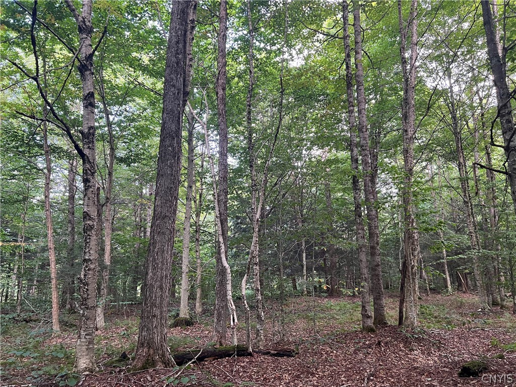 Creek Road, Unit 7 Taberg, NY 13471 - Photo 10 of 34