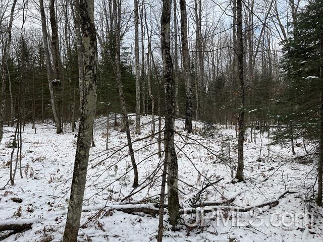 545 South Rd Skandia Mi 49885 Road Skandia, MI 49885 - Photo 29 of 38