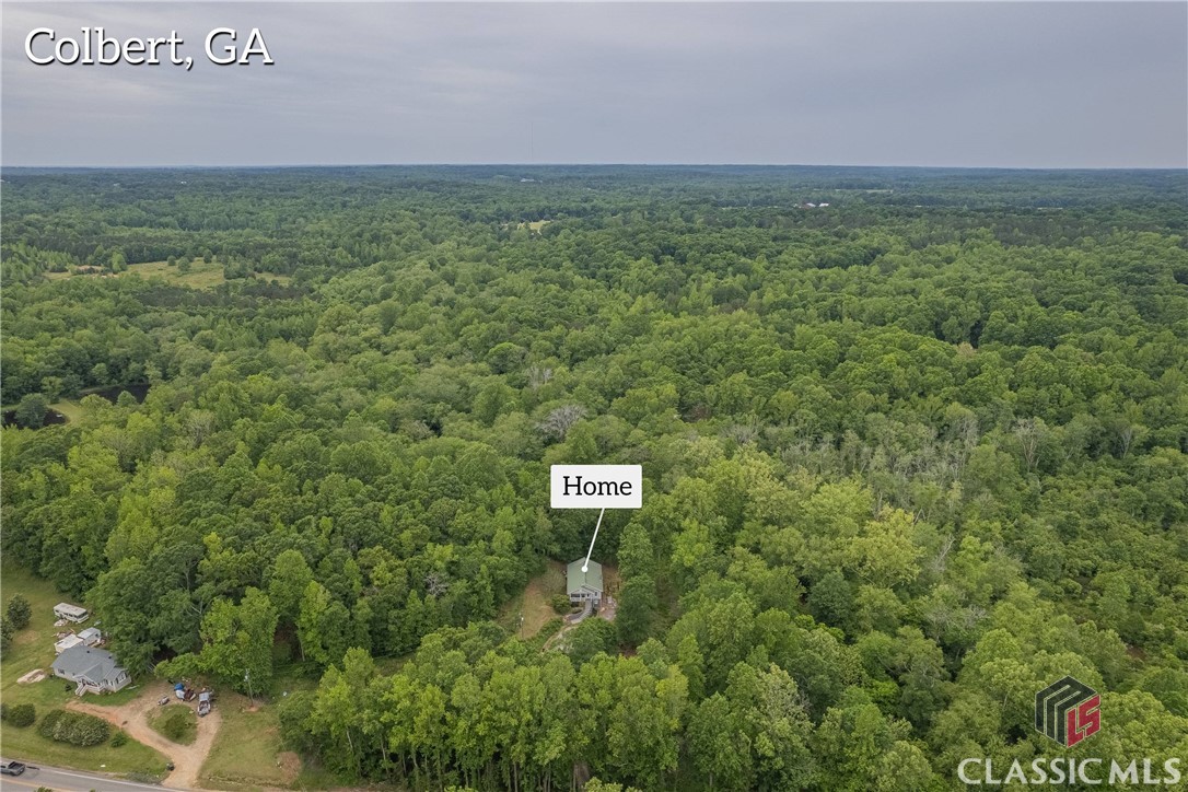 3840 Highway 29 Colbert, GA 30628 - Photo 4 of 75 Gallery Image 4