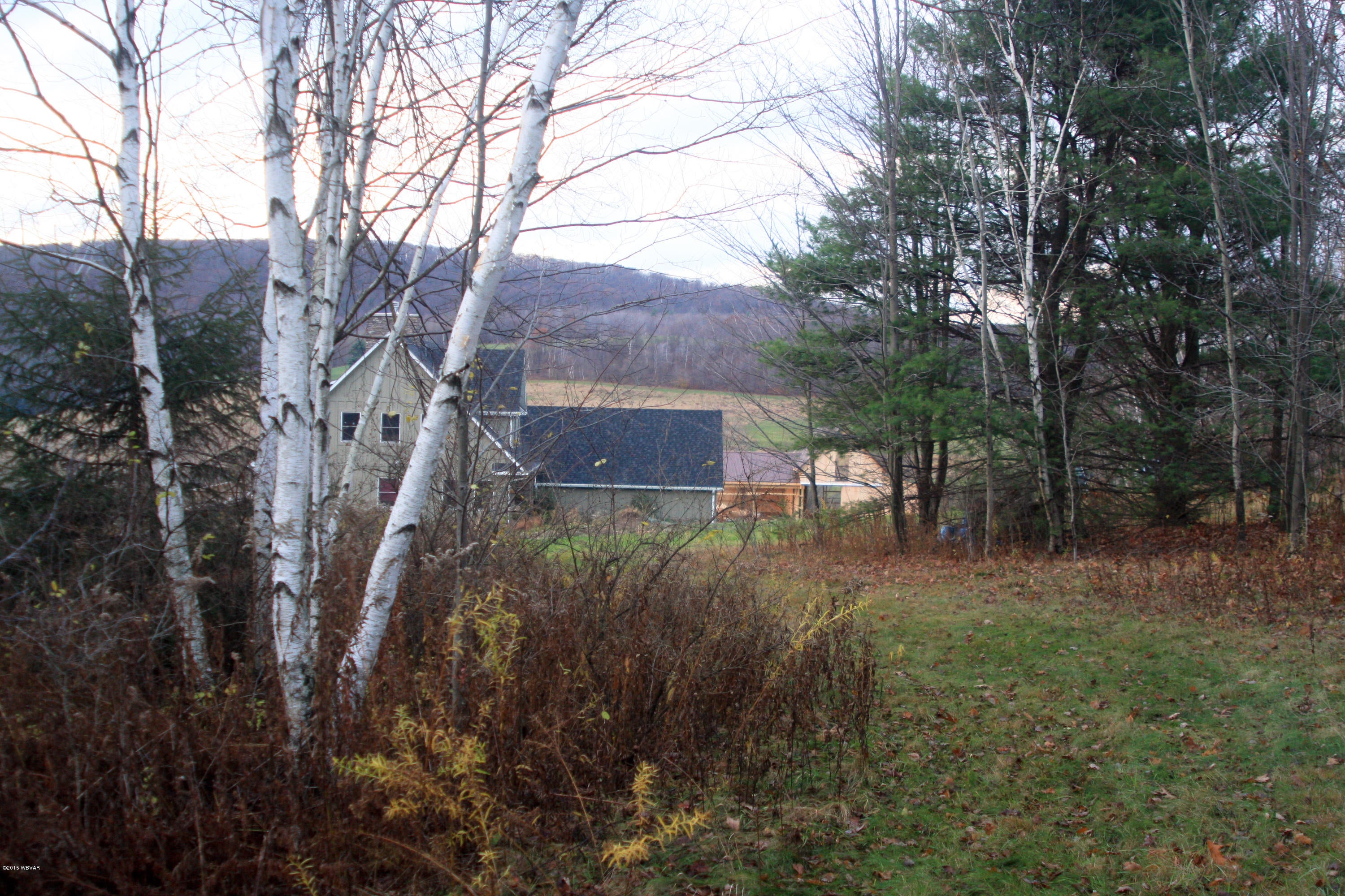 1356 Route 362 Route Wellsboro, PA 16901 - Photo 55 of 66 Beautiful_Home-56