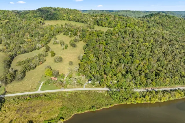 a view of a garden with a lake