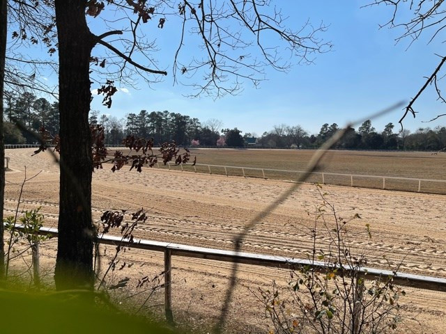 650 Powderhouse Road Southeast Aiken, SC 29801 - Photo 6 of 20